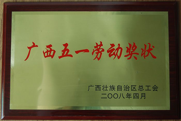 2008年獲“廣西五一勞動獎狀”