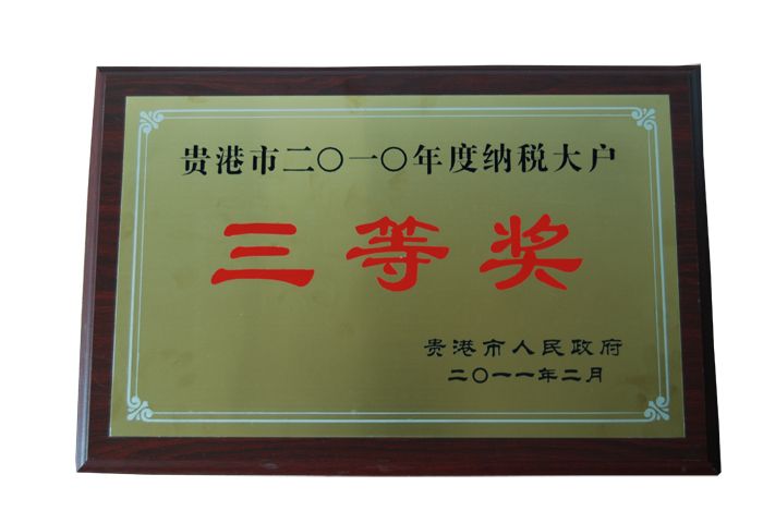 2010年納稅大戶三等獎
