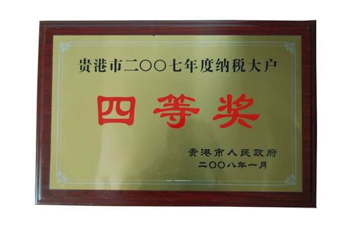 2007年納稅大戶四等獎